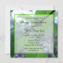 beautiful fresh spring green leaves all party