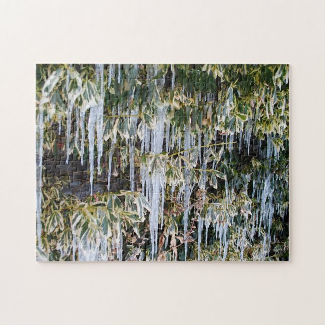 Beautiful Frosty Autumn Branches Icicle Icic Leaf Jigsaw Puzzle (Horizontal)