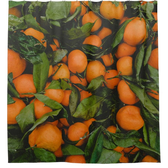 Beautiful Fruits Shower Curtain (Front)