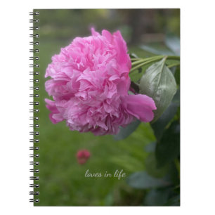 Beautiful Full Pink Peony Notebook