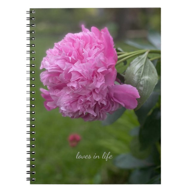 Beautiful Full Pink Peony Notebook (Front)