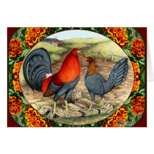 Beautiful Game Fowl
