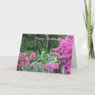 Beautiful Garden Card