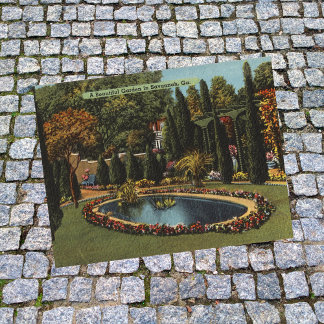 Beautiful Garden in Savannah GA Postcards