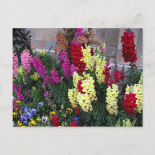 Beautiful Garden Postcard