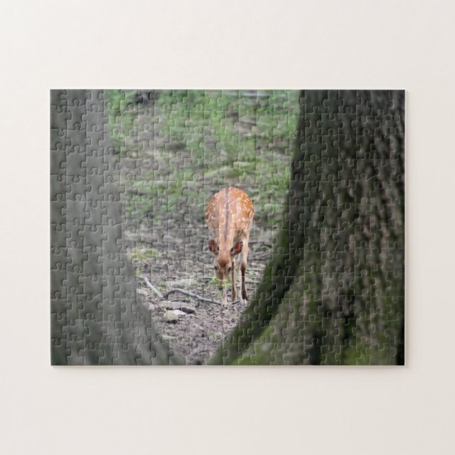 Beautiful Gazelle in Forest Jigsaw Puzzle (Horizontal)