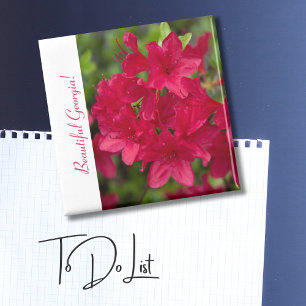 Beautiful Georgia Azalea Magnet