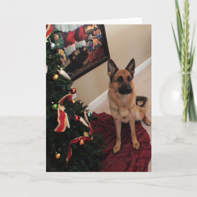 Beautiful German Shepherd Christmas Card (Front)