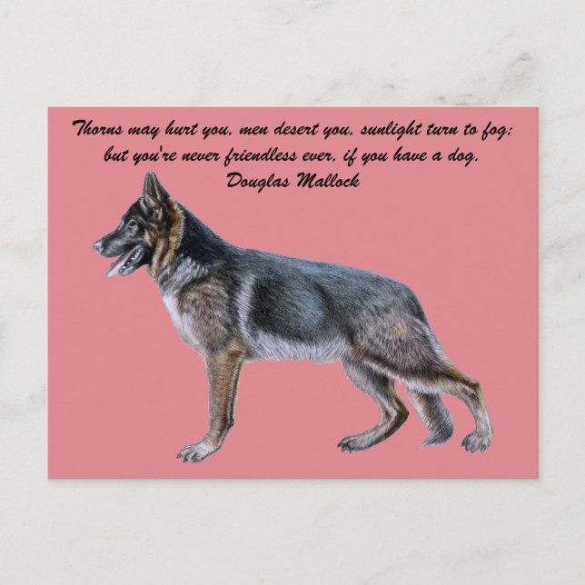 Beautiful German Shepherd Postcard with Poem (Front)