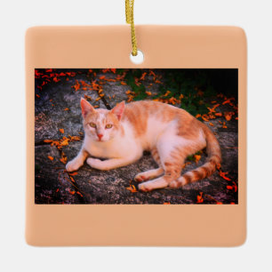 Beautiful ginger cat ceramic ornament