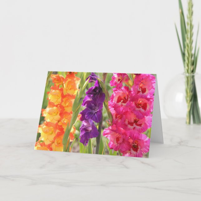 Beautiful Gladiolus Blooms Card (Front)