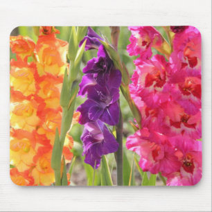 Beautiful Gladiolus Blooms Mouse Pad