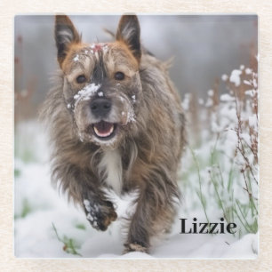 Beautiful Glass Coaster. Add your own picture/name Glass Coaster