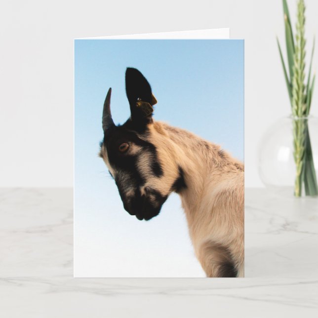 Beautiful Goat all occasions Card (Front)