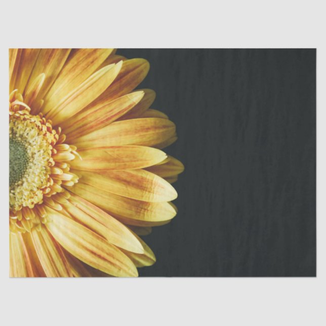 Beautiful Gold Sunflower on Black Background Tissue Paper (Front)