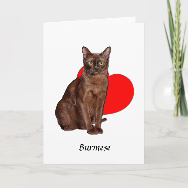 Beautiful Golden Burmese Cat Moggy Heart Love  Card (Front)