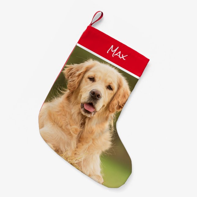 Beautiful Golden Retriever Stocking (Front (Hanging))