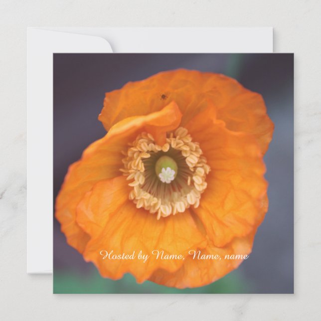 beautiful golden wild poppy flower all party invitation (Front)