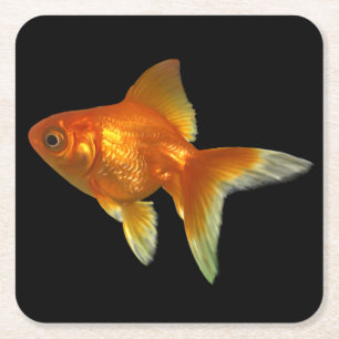 Beautiful Goldfish Coaster Set