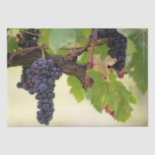 Beautiful Grape Vine with Hanging Fruit Tissue Paper