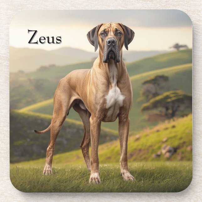 Beautiful Great Dane Personalised Coaster Set (Front)
