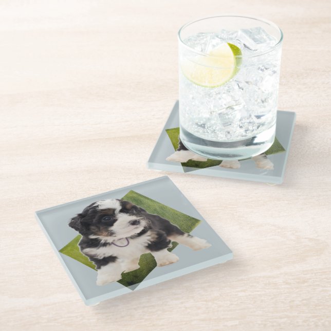 Beautiful Green Bernedoodle Puppy Art  Glass Coaster (Angled)