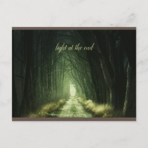 Beautiful Green Dark Forest Postcard
