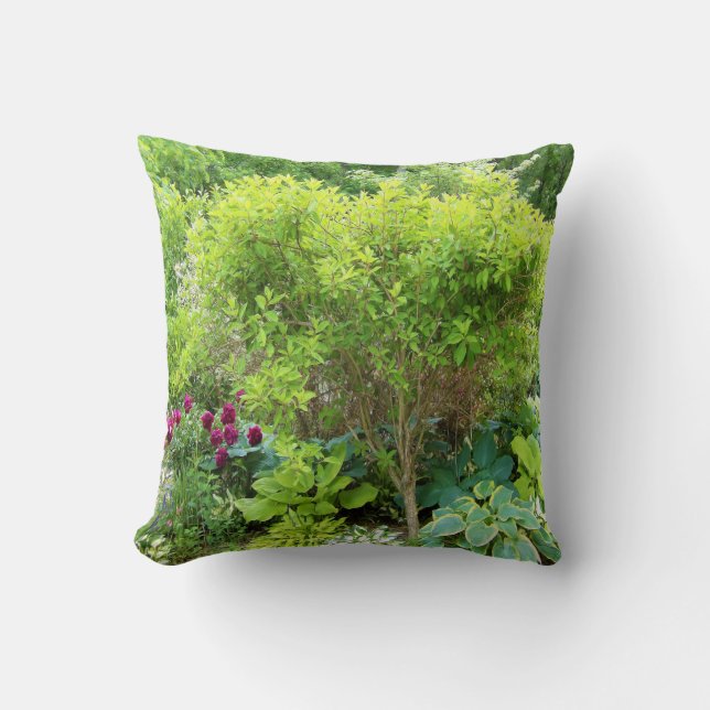 Beautiful Green Garden Landscape with Hostas Cushion (Front)