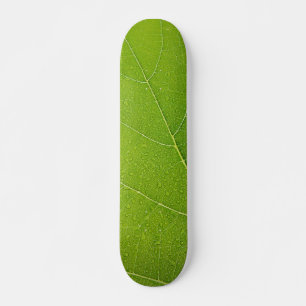 Beautiful Green Leaf Skateboard