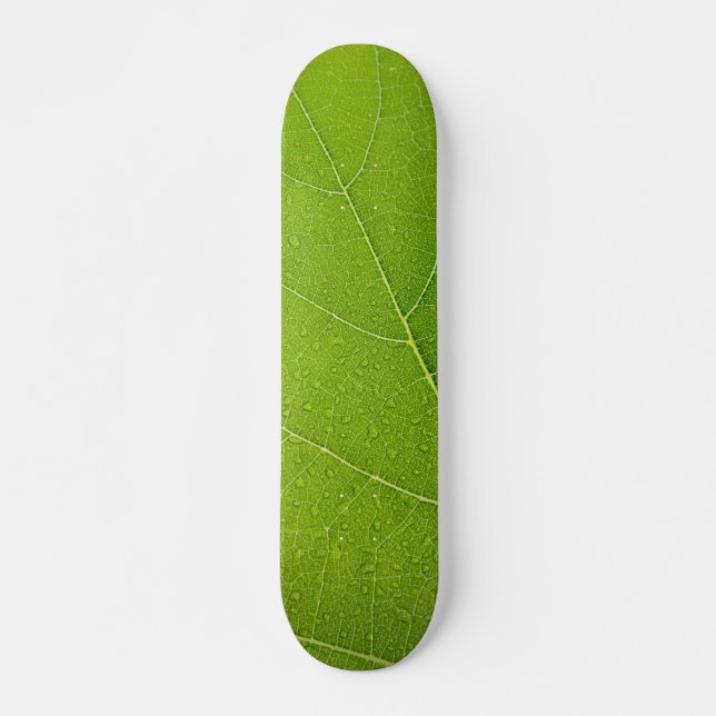 Beautiful Green Leaf Skateboard (Front)