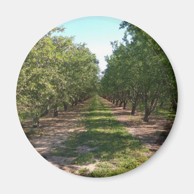 Beautiful Green Neverending Orchard Row Magnet (Front)