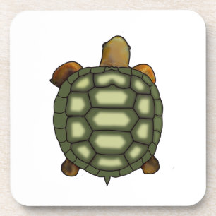 Beautiful Green Turtle on White Coaster