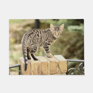 Beautiful Grey Black Bengal Kitten Doormat