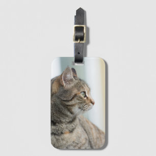 Beautiful grey cat luggage tag