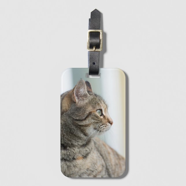 Beautiful grey cat luggage tag (Front Vertical)