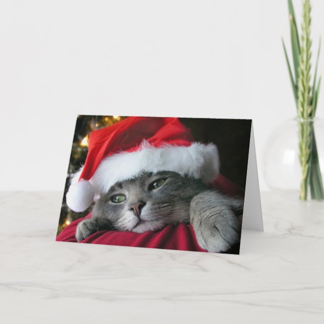 Beautiful Grey Christmas kitty cat Holiday Card (Front)