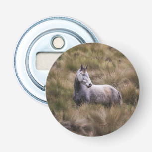 Beautiful Grey Coloured Horse Bottle Opener