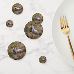 Beautiful Grey Coloured Horse Confetti