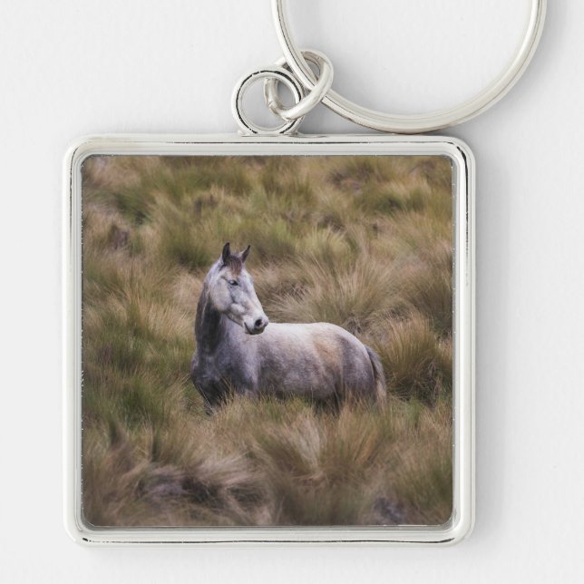 Beautiful Grey Coloured Horse Key Ring (Front)