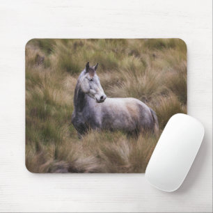 Beautiful Grey Coloured Horse Mouse Pad