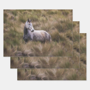 Beautiful Grey Coloured Horse Wrapping Paper Sheet