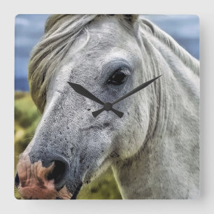 Beautiful grey horse clock