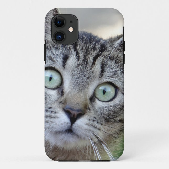 Beautiful Grey Kitten with stunning eyes Case-Mate iPhone Case (Back)