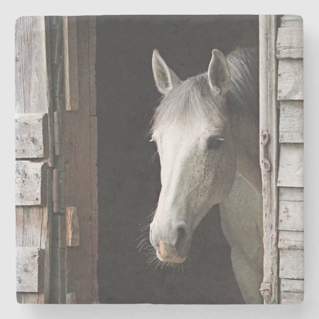 Beautiful Grey Mare Horse Animals Stone Coaster (Front)
