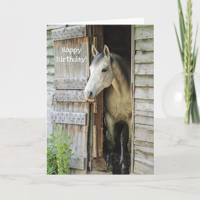 Beautiful Grey Mare Horse Custom Happy Birthday Card (Front)