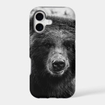 Beautiful Grizzly Bear Photo