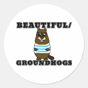 Beautiful/Groundhogs Classic Round Sticker