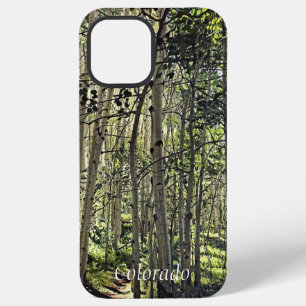 Beautiful Grove of Aspen Trees in Crested Butte iPhone 12 Pro Max Case