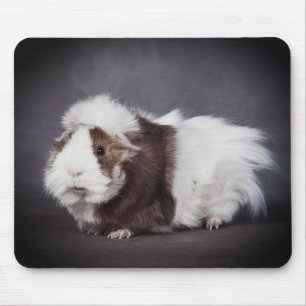 Beautiful Guinea Pig, Mouse Pad