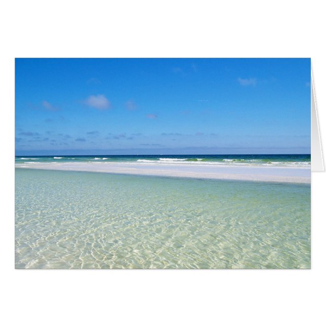 Beautiful Gulf of Mexico (Front Horizontal)